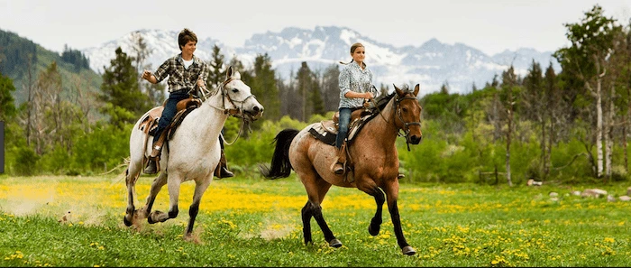 Confident plus-size woman riding Uckfield a horse through a field with a smile on her face.